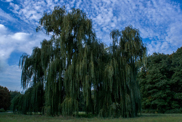 Similar image 5901353