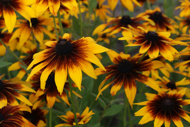 Similar image 5901363