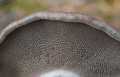 Similar image 5901374