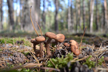 Similar image 5901379