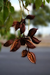 Similar image 5901380