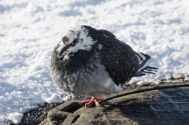 Similar image 5901384