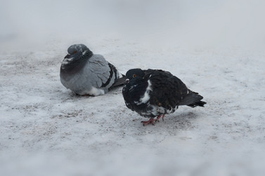 Similar image 5901387