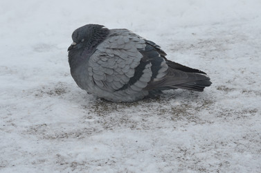 Similar image 5901389