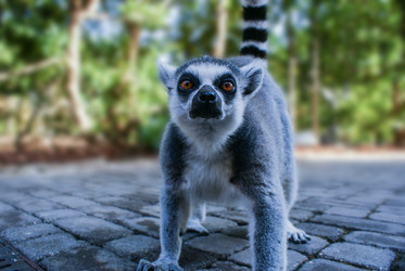 Similar image 5901393