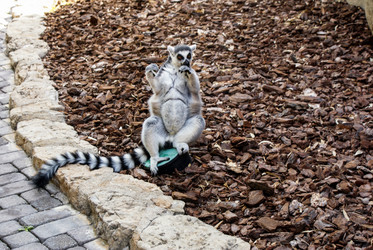 Similar image 5901394