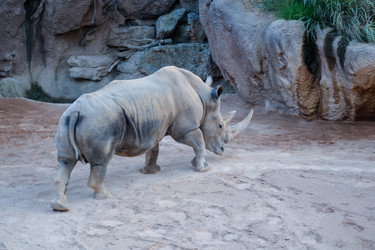 Similar image 5901397