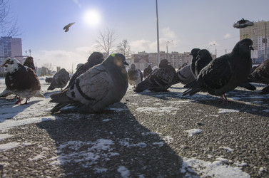 Similar image 5901403