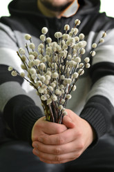 Similar image 5901407