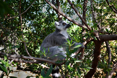 Similar image 5901408