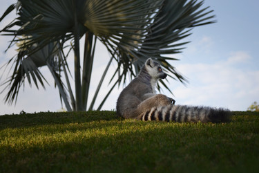 Similar image 5901410