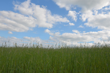 Similar image 5901430