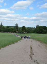 Similar image 5901431