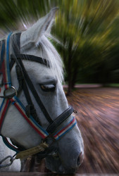 Similar image 5901434