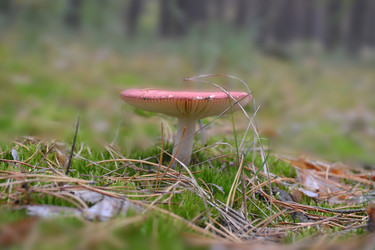 Similar image 5901445