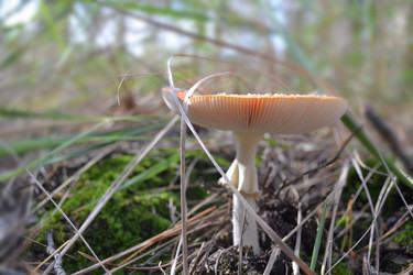 Similar image 5901446