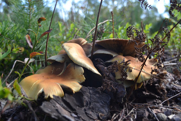 Similar image 5901447