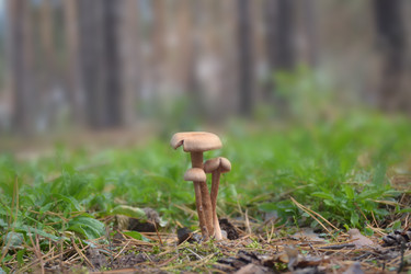 Similar image 5901448