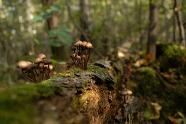 Similar image 5901449