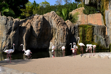 Similar image 5901456