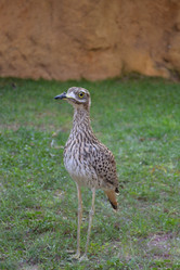 Similar image 5901457