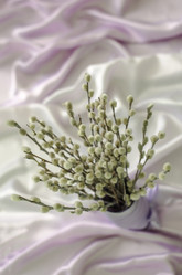 Similar image 5901462