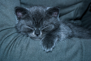 Similar image 5901465