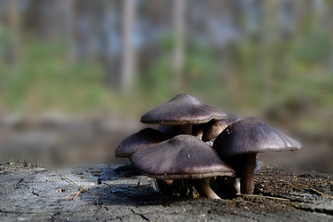 Similar image 5901471