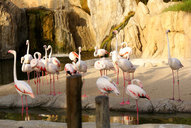 Similar image 5901473