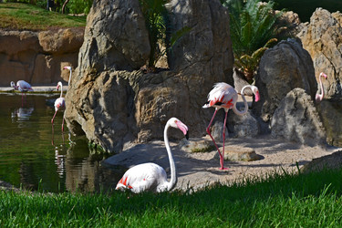 Similar image 5901477