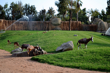 Similar image 5901478