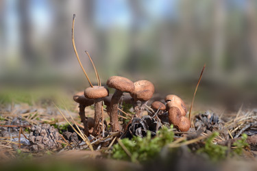 Similar image 5901479