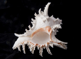 Similar image 5901675