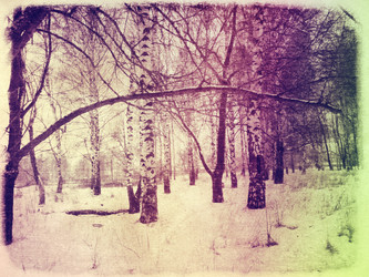 Similar image 5901846