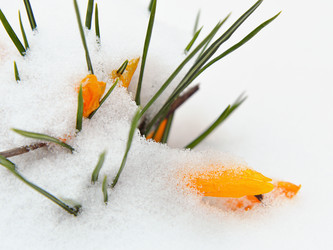 Similar image 5901975