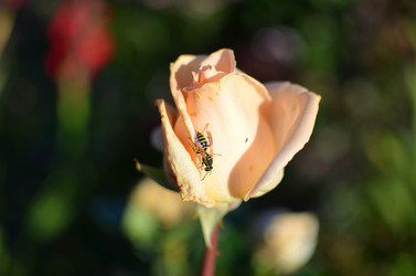 Similar image 5901991