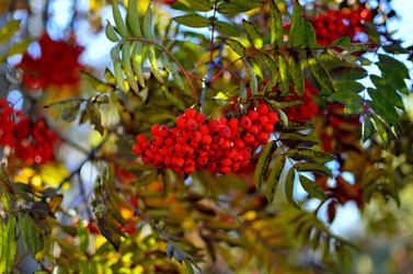 Similar image 5901992