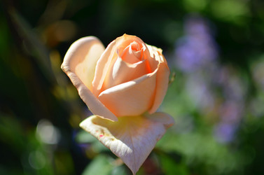 Similar image 5901993