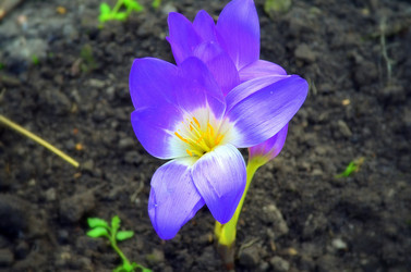 Similar image 5901994