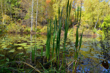 Similar image 5901995