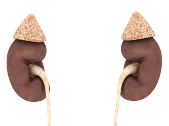 Similar image 5902029