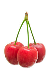 Similar image 5902034