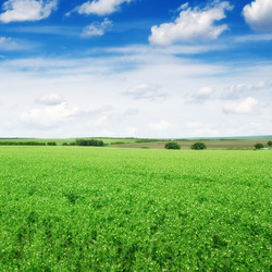 Similar image 5902056