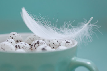 Similar image 5902177