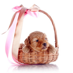 Similar image 5902190