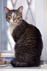 Similar image 5902211