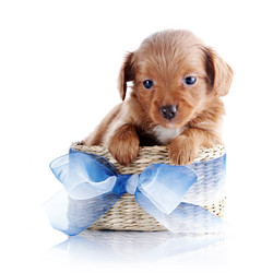 Similar image 5902213