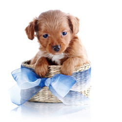 Similar image 5902217