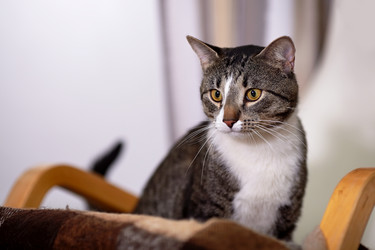 Similar image 5902220