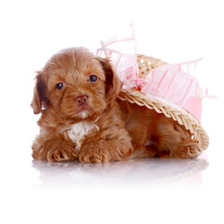 Similar image 5902244